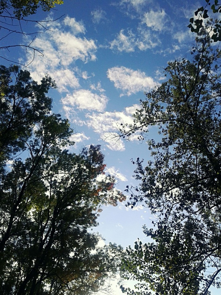 Cloudy Blue Sky.
