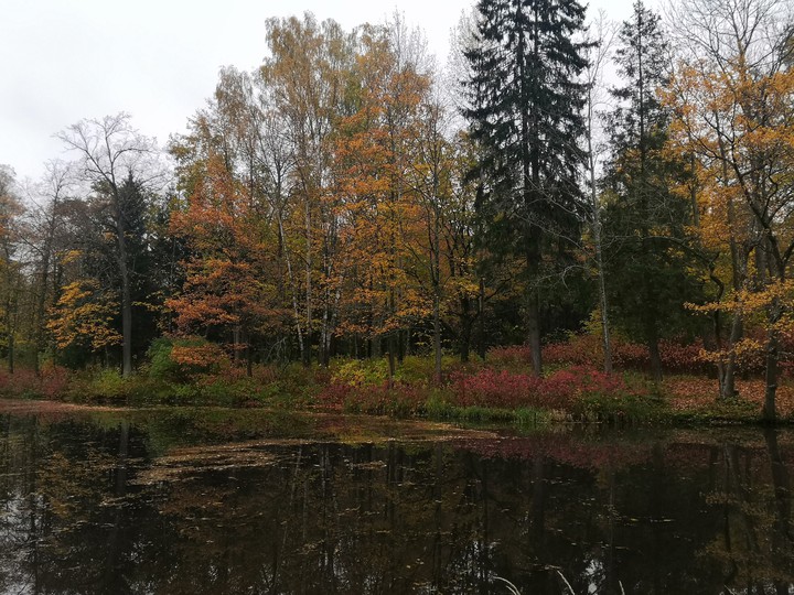 александровский парк