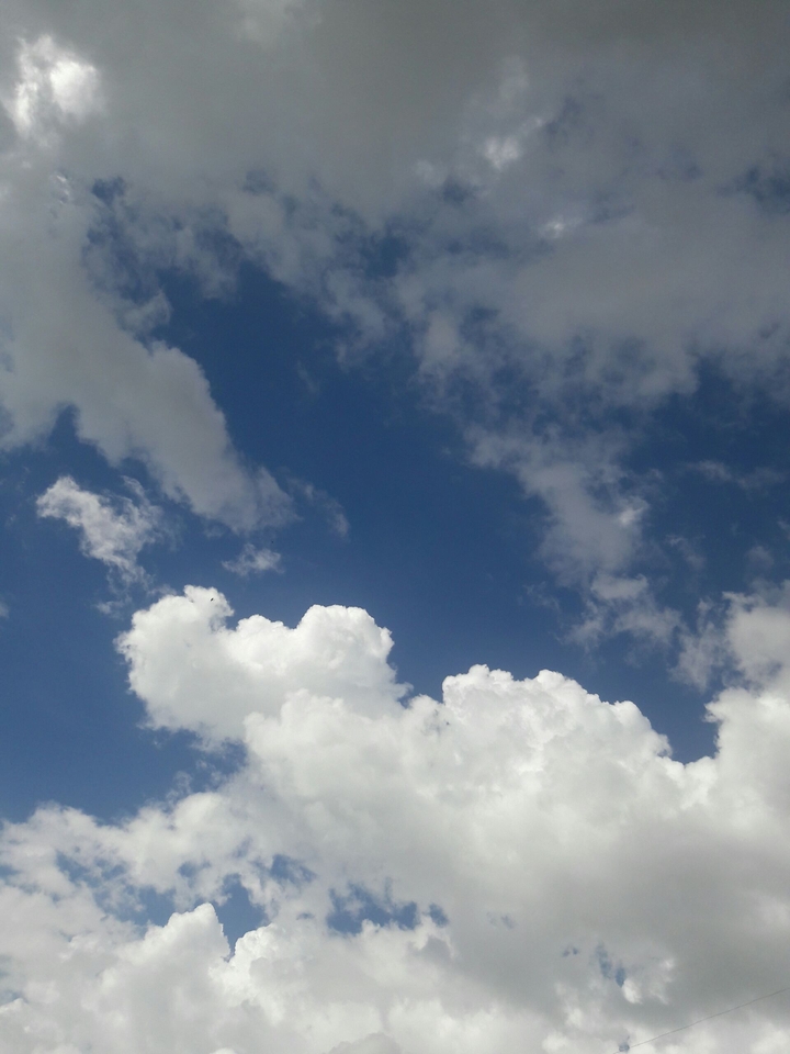 Nuvens de algodão