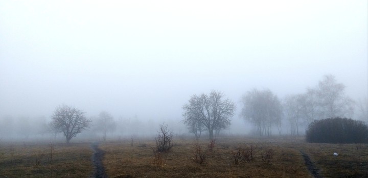 туманн