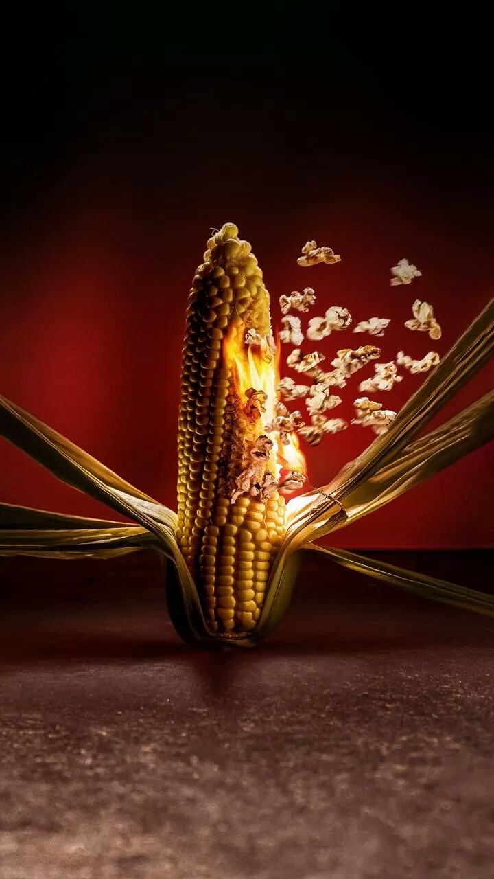 Corn