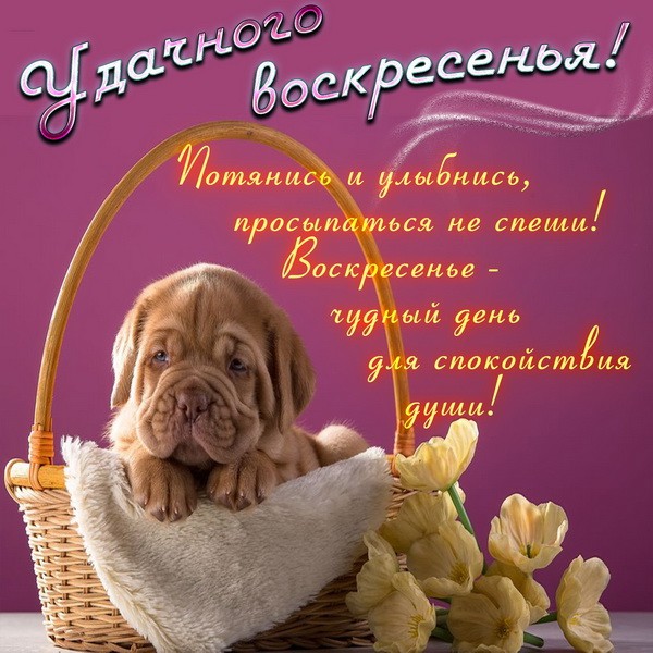 привет..
