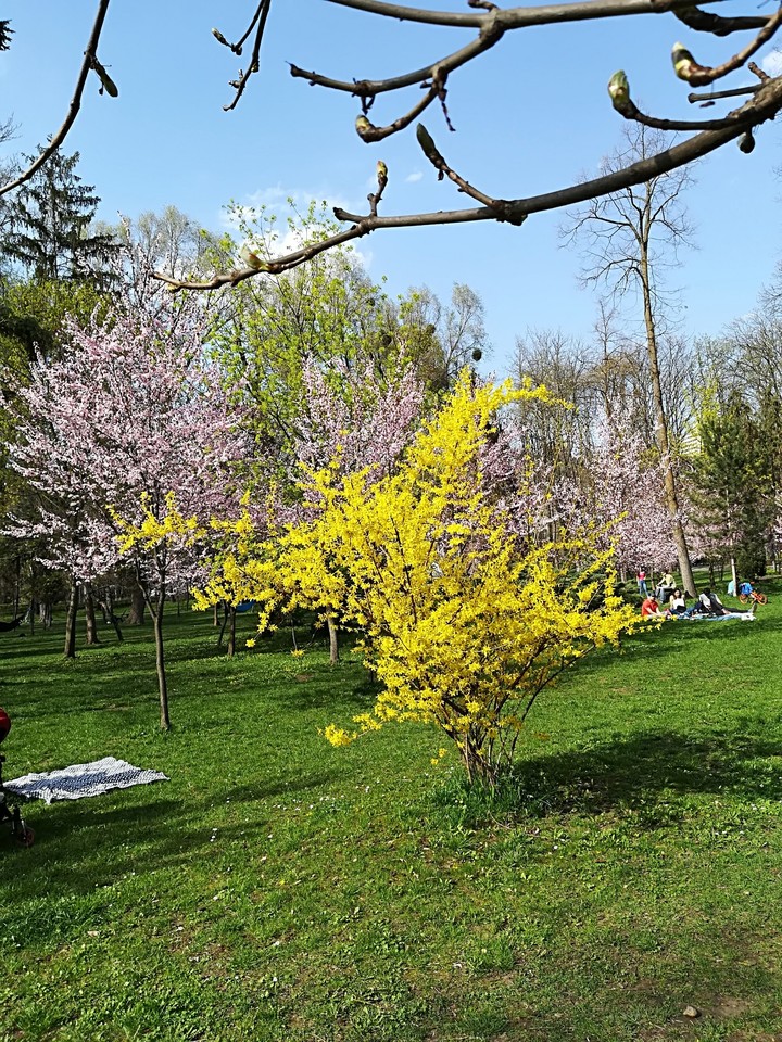 Cluj-Napoca. Spring.