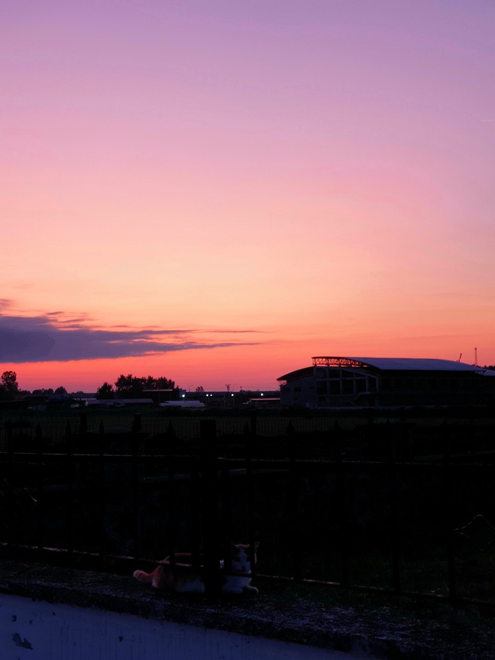 sunset
