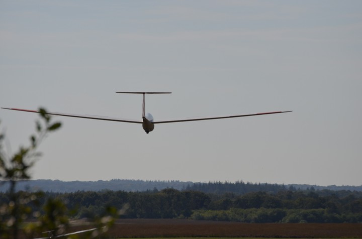 Glider