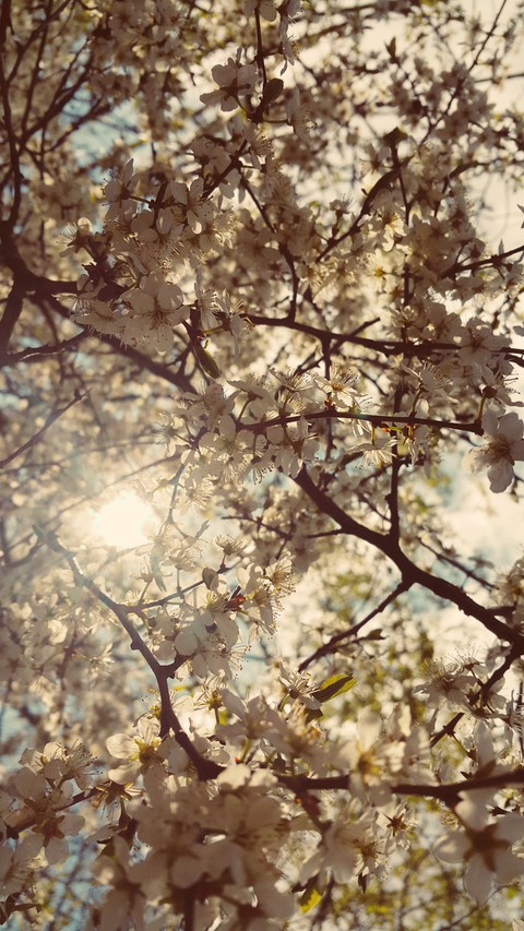 inspiration of morning