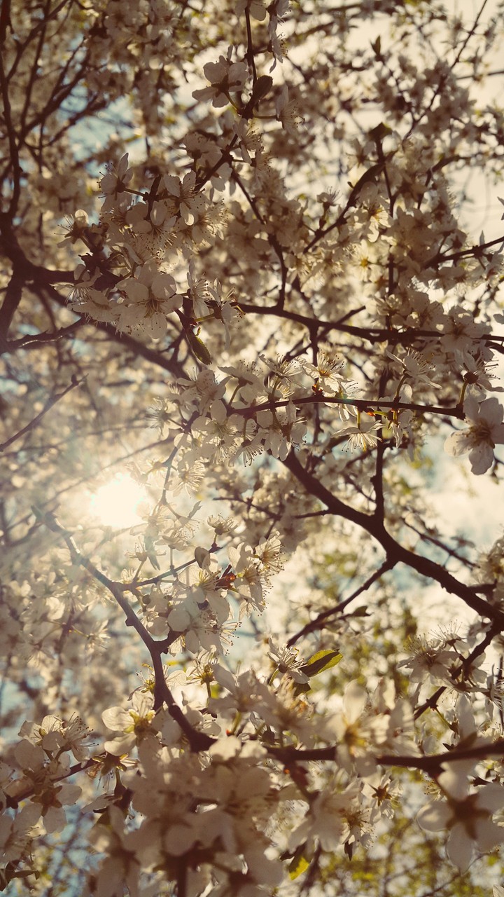 inspiration of morning
