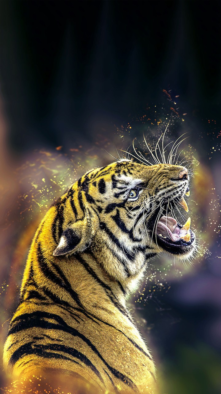 Roaring