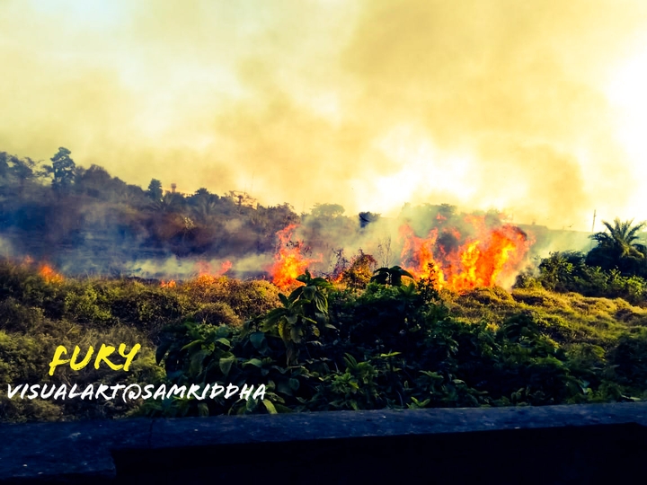 Fury-Nature on Fire
