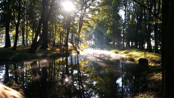 Morning running 