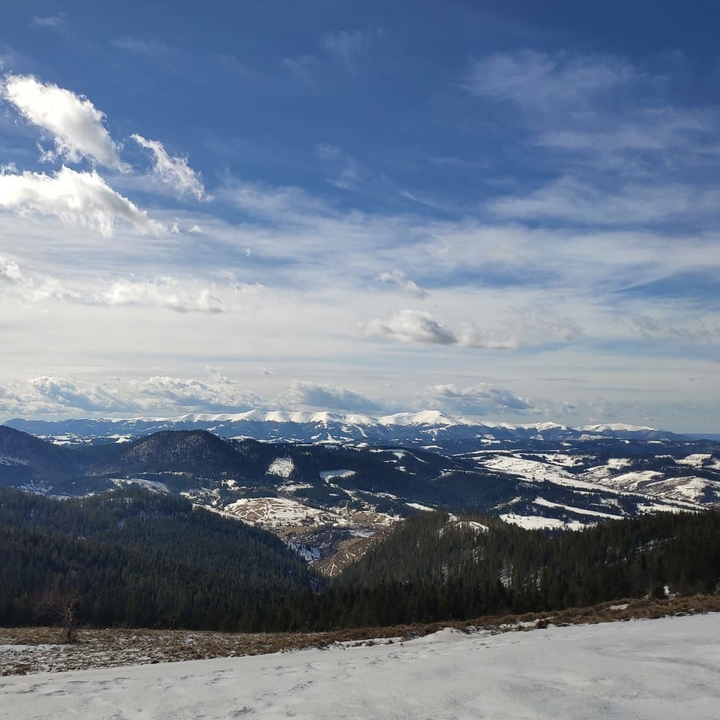 Carpathians