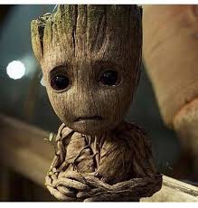 groot