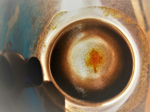 Coffee tree