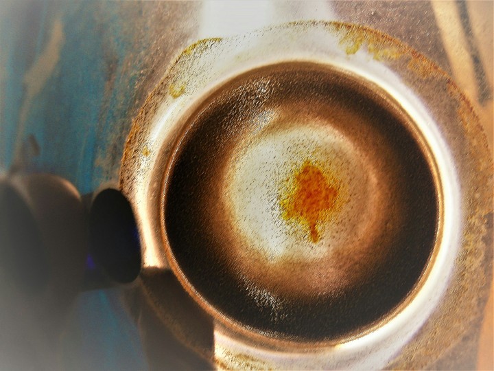 Coffee tree