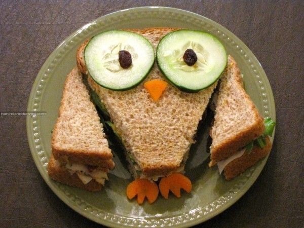 Owl