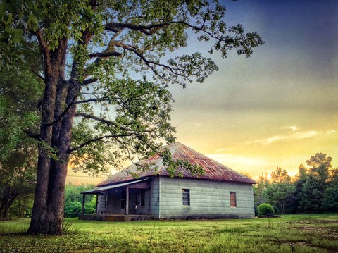From Farm To Observatory