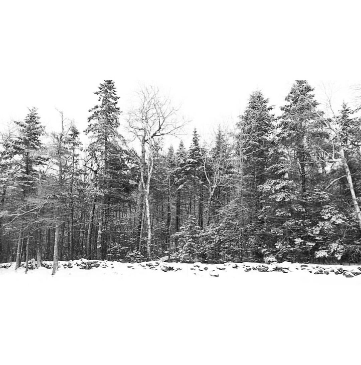 Snowy Country Morning