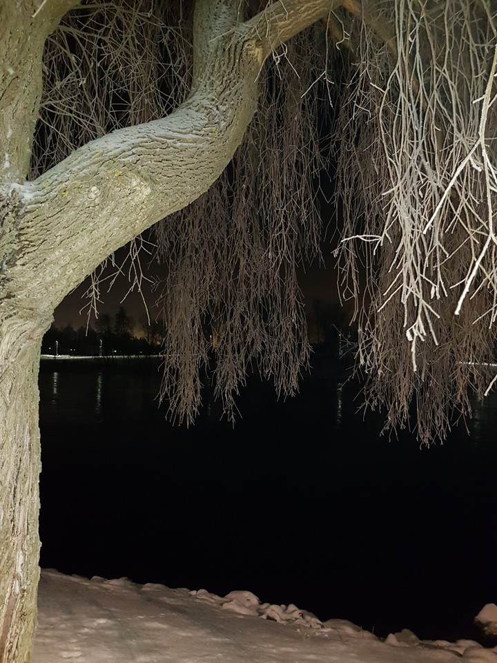 Night beauty