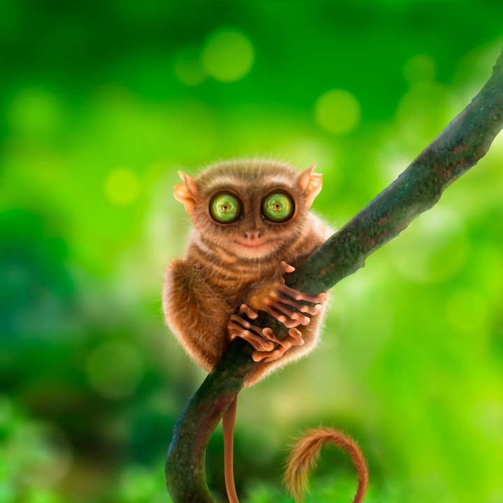 Big eyes