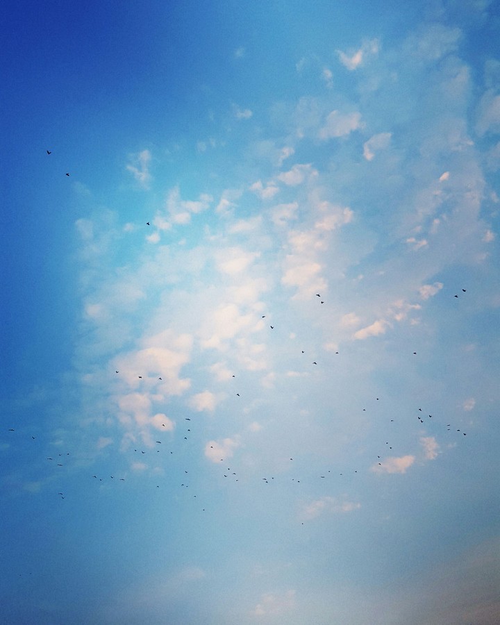 Baby Blue Sky