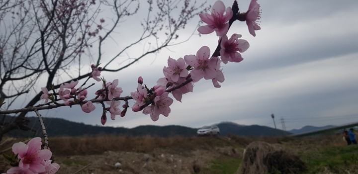 봄
