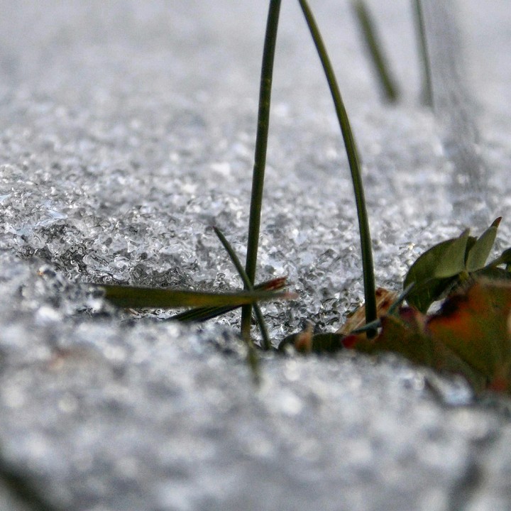 snow details