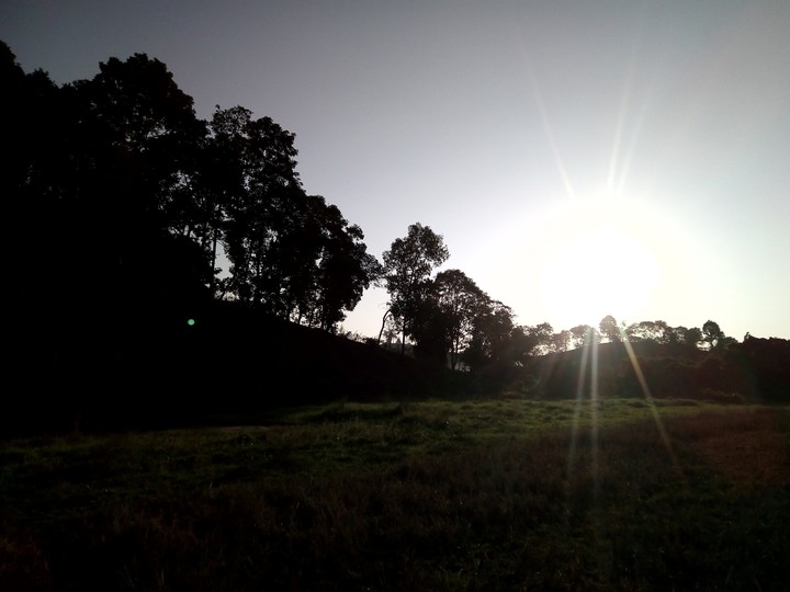 natute