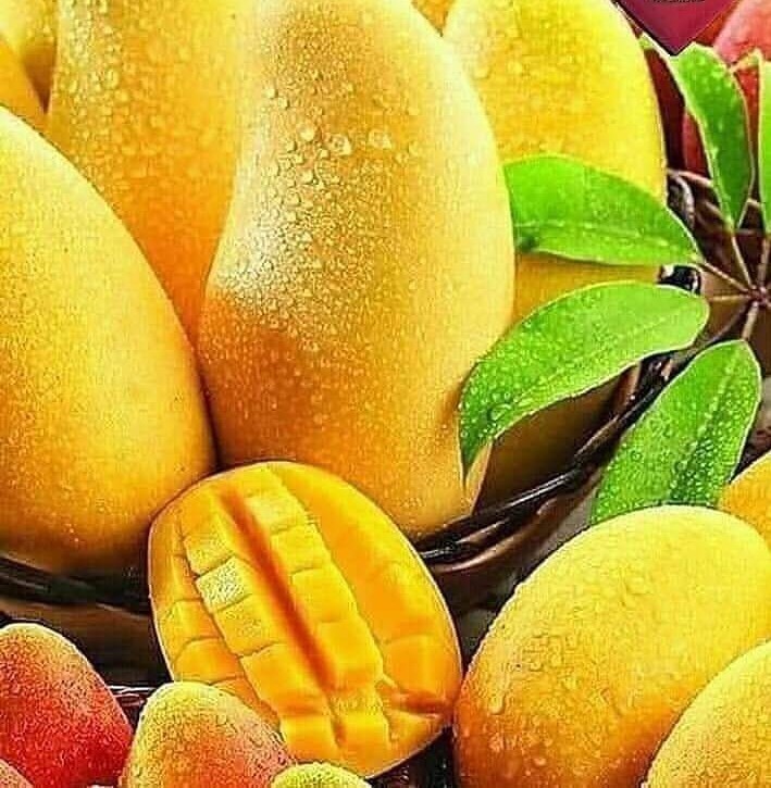 summer mango
