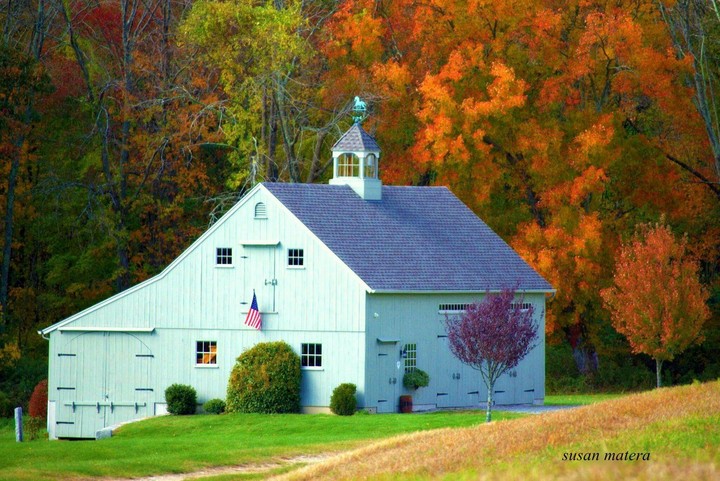 backwoods new england