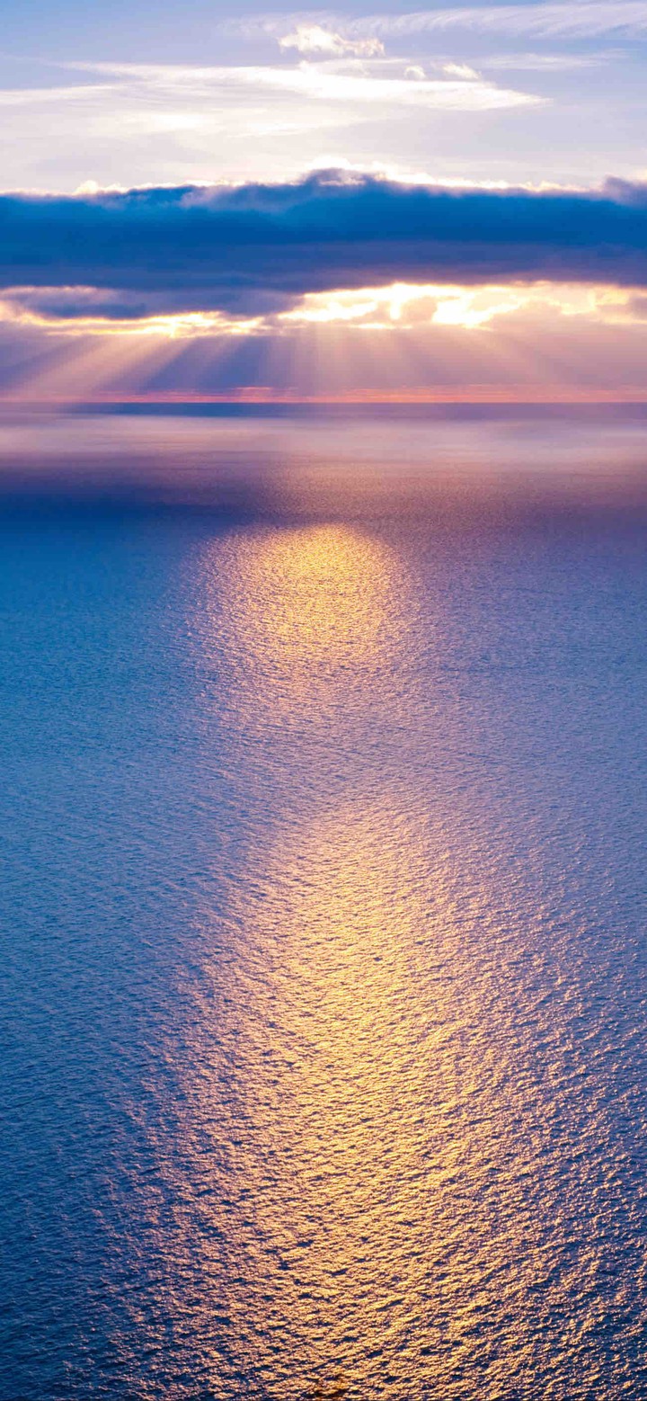 beauties of the sea
