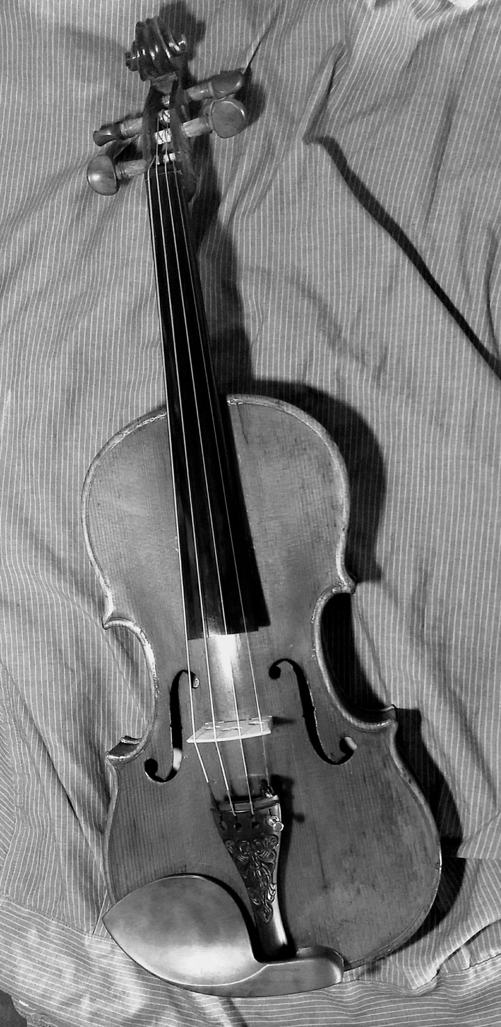 violin