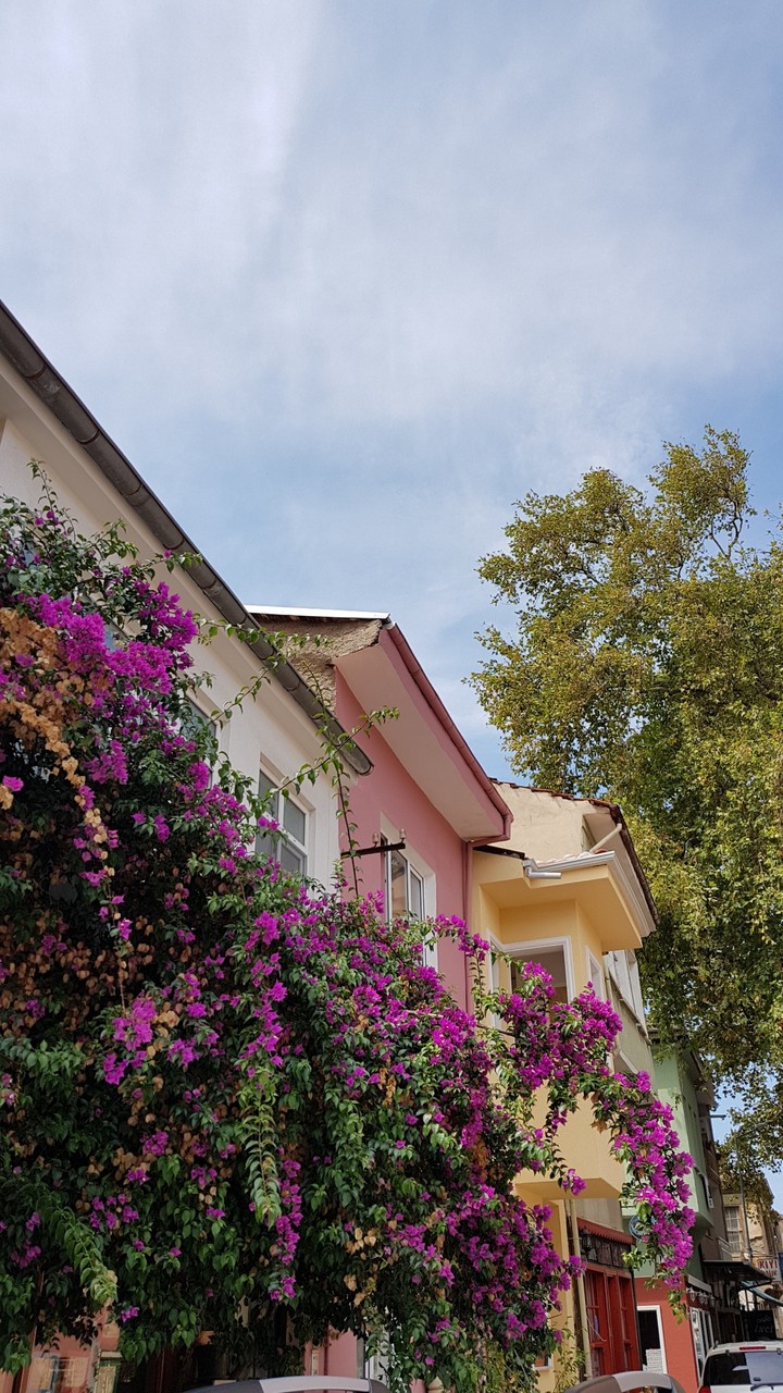 mudanya