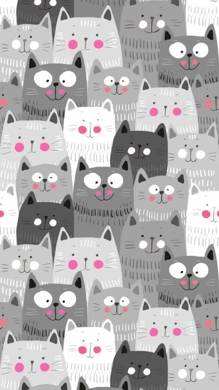котики