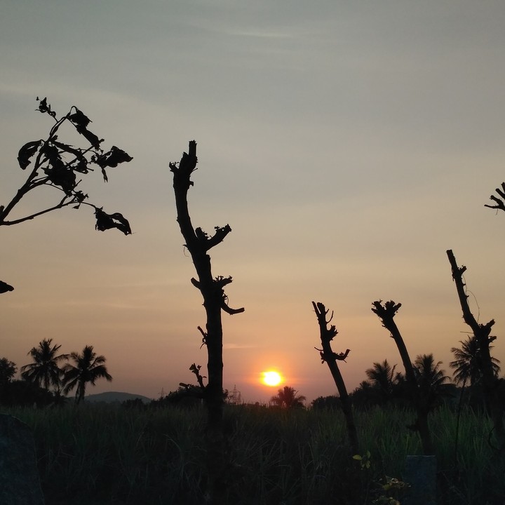 sunset