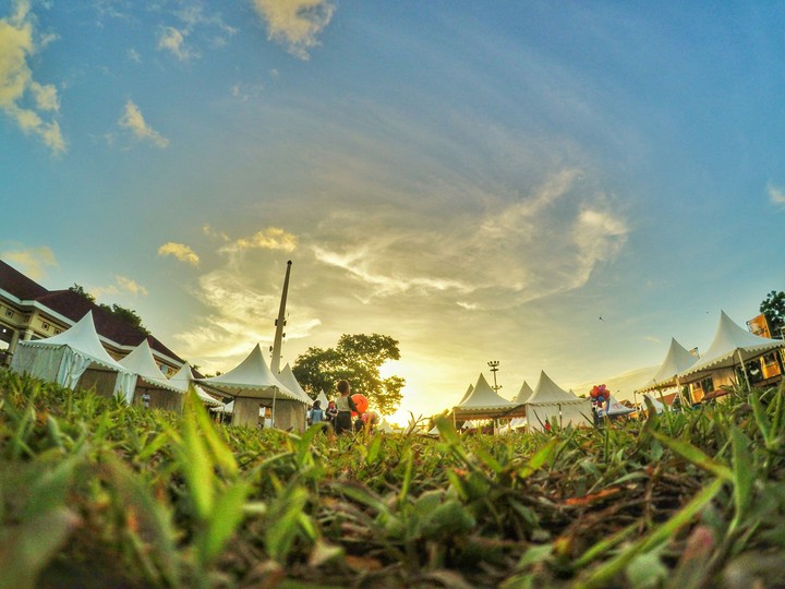 FESTIVAL