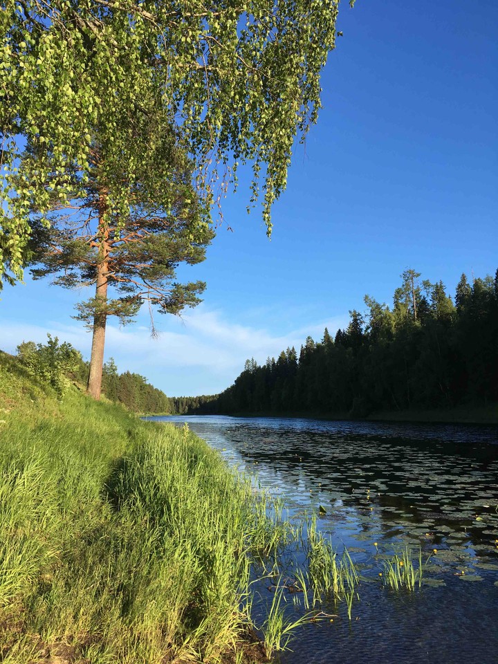 Север. Природа
