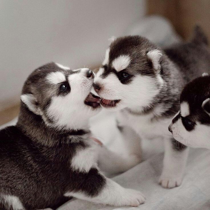 ❤