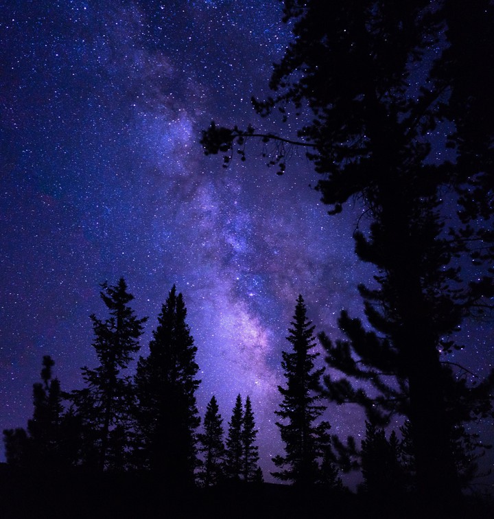 ☆°•♡~✯✯✯~♡•°☆