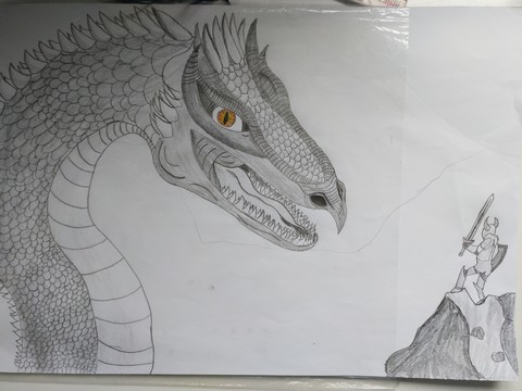 dragn