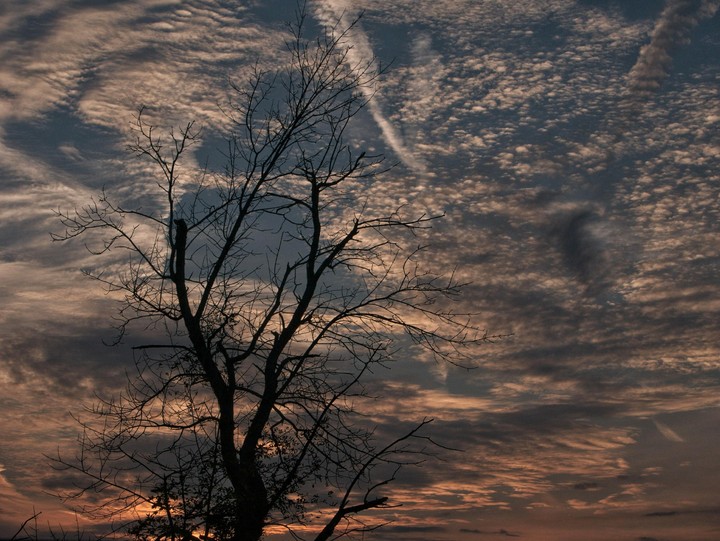 New York Sunset
