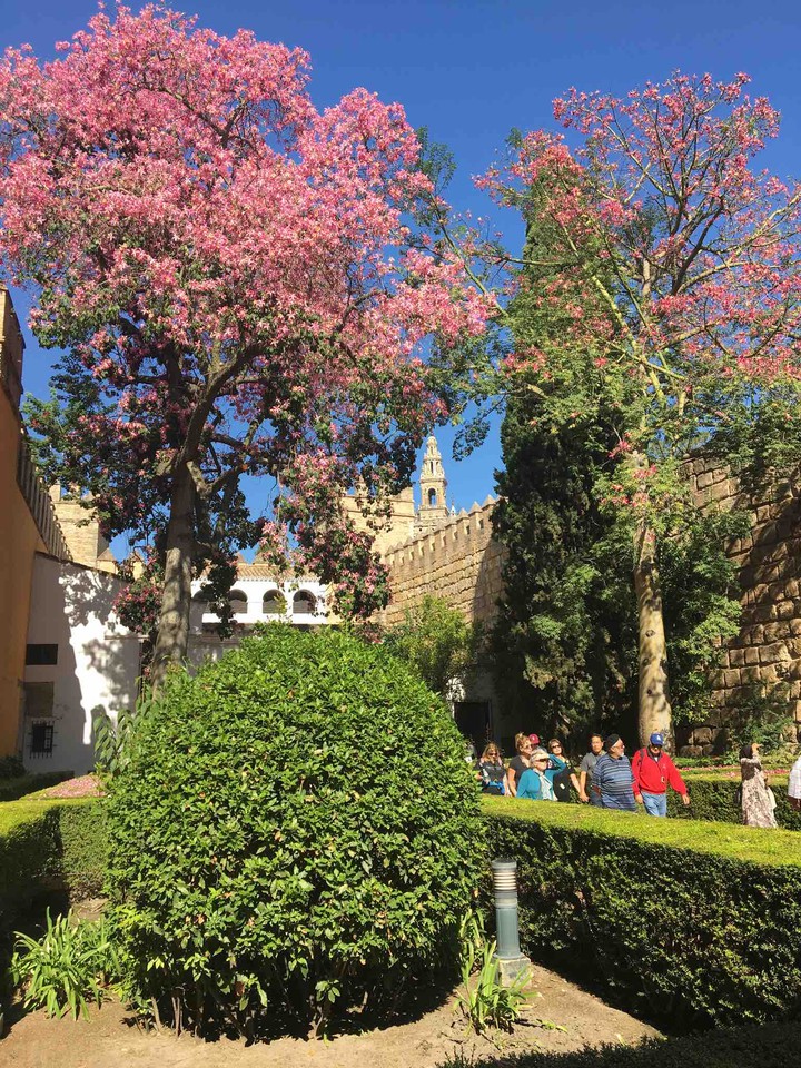 alcazar