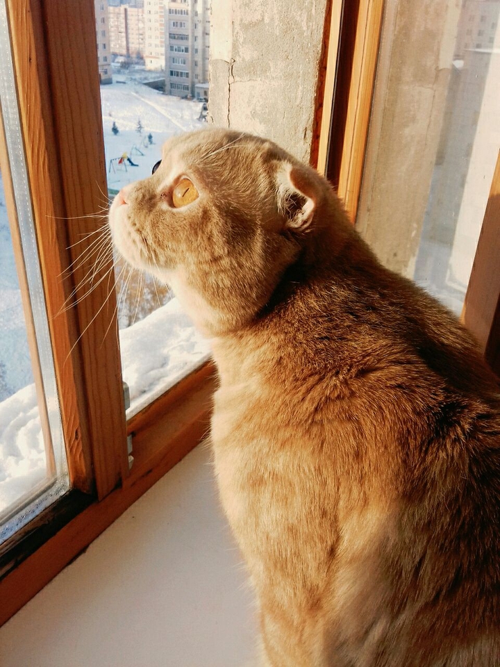 Winter