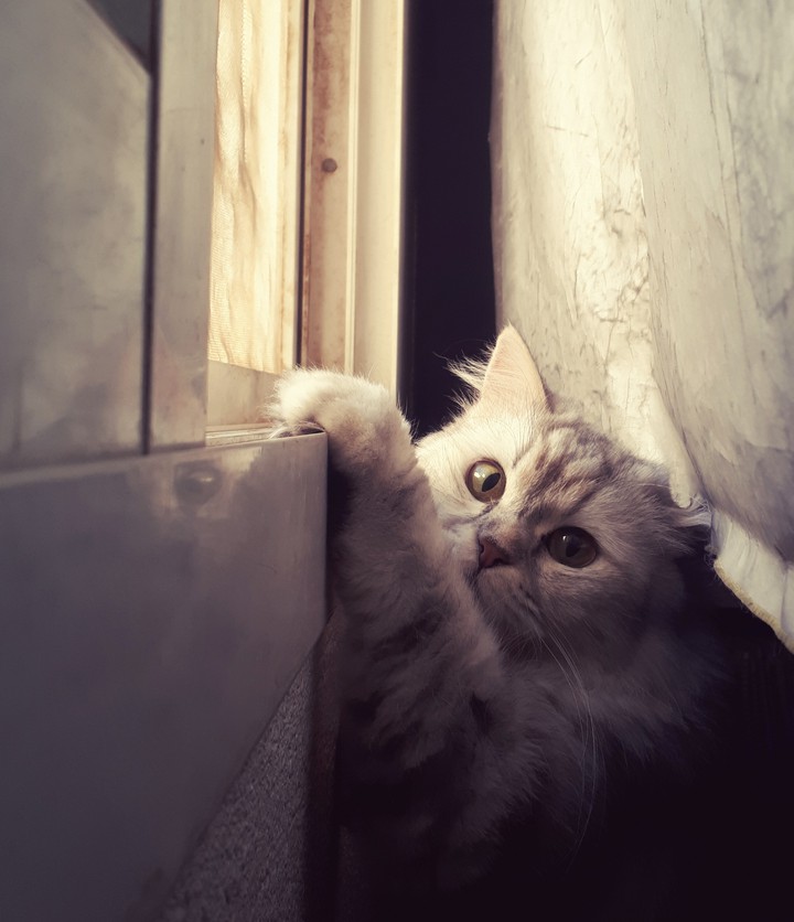 cute