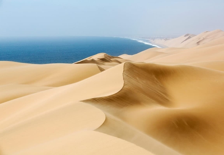 endless desert