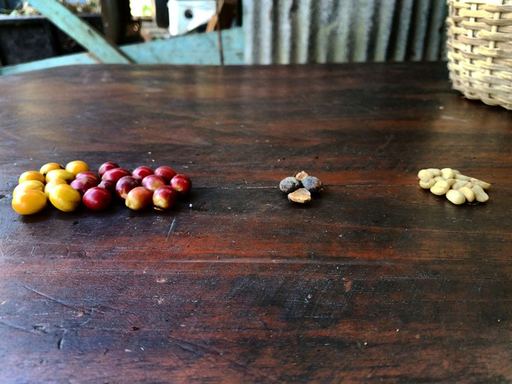 coffee beans