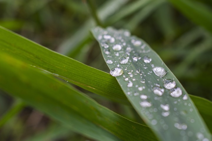 After rain
