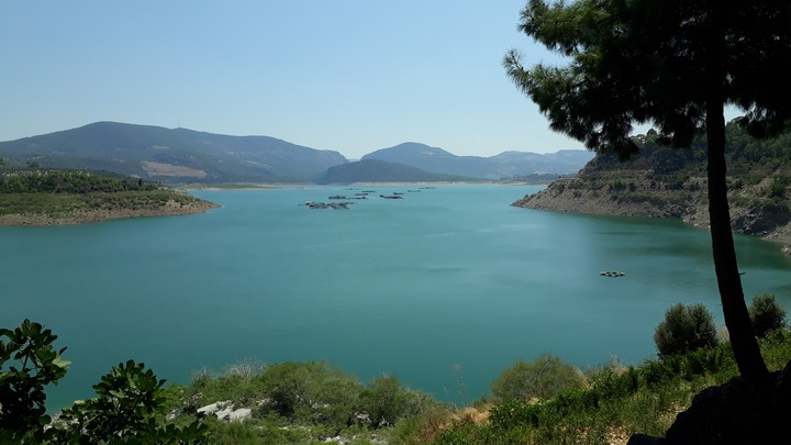 Lake