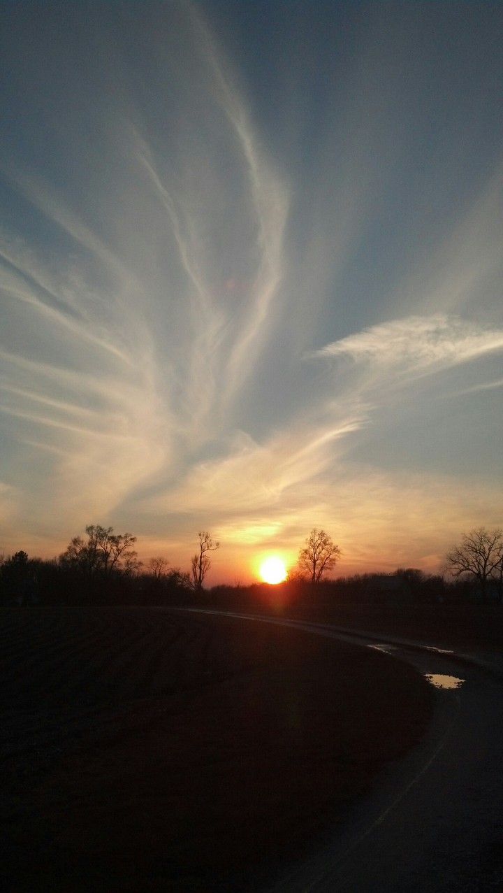 Country Sunset