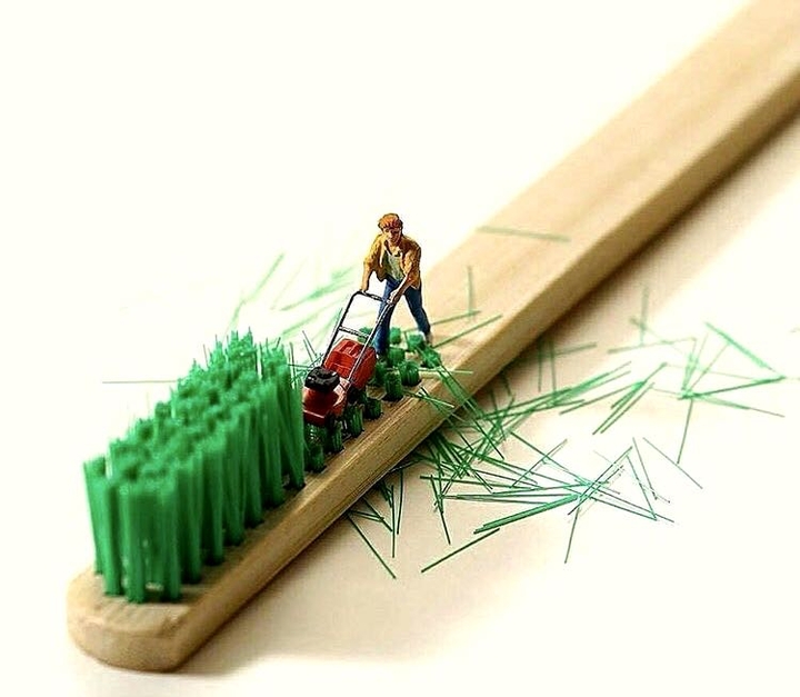 Grass