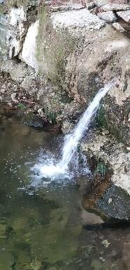 In the stream of Cheonggye Mountain Valley
